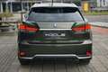 Lexus RX 450h AWD Executive Line Verde - thumbnail 8