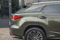Lexus RX 450h AWD Executive Line Verde - thumbnail 19