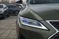 Lexus RX 450h AWD Executive Line Verde - thumbnail 35
