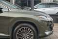 Lexus RX 450h AWD Executive Line Verde - thumbnail 14
