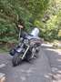 Harley-Davidson Electra Glide hawans Gris - thumbnail 2