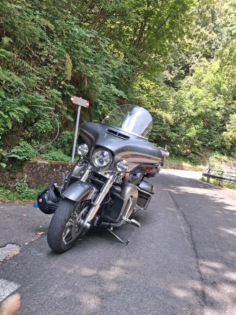 Harley-Davidson Electra Glide hawans Gris - 2