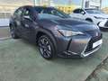 Lexus UX 250h Premium 4WD Gris - thumbnail 4