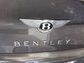 Bentley Continental GT V8 Convertible Gris - thumbnail 14