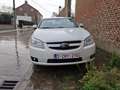 Chevrolet Epica Epica 2.5i 24v LT Blanc - thumbnail 4