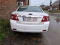 Chevrolet Epica Epica 2.5i 24v LT Blanc - thumbnail 5