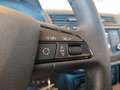 SEAT Arona 1,0 Eco TSI Austria Edition Grau - thumbnail 14