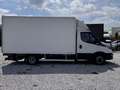 Iveco Dally Blanco - thumbnail 4
