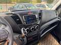 Iveco Dally Blanco - thumbnail 12