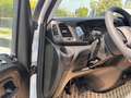 Iveco Dally Blanco - thumbnail 11