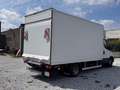 Iveco Dally Blanco - thumbnail 5