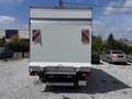 Iveco Dally Blanco - thumbnail 6