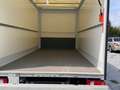 Iveco Dally Blanco - thumbnail 23
