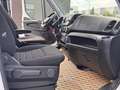 Iveco Dally Blanco - thumbnail 13