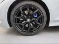 BMW 318 FACELIFT 2 - M SPORT - PANODA Grau - thumbnail 6