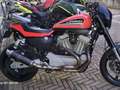 Harley-Davidson XR 1200 Portocaliu - thumbnail 4