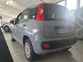 Fiat Panda Panda III 2016 1.2 Easy s - thumbnail 5