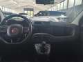 Fiat Panda Panda III 2016 1.2 Easy s - thumbnail 11