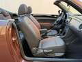 Volkswagen Beetle Descapotable Automático de 2 Puertas Braun - thumbnail 14