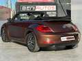 Volkswagen Beetle Descapotable Automático de 2 Puertas Braun - thumbnail 3