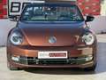 Volkswagen Beetle Descapotable Automático de 2 Puertas Braun - thumbnail 9