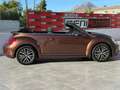 Volkswagen Beetle Descapotable Automático de 2 Puertas Braun - thumbnail 6