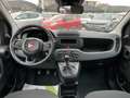 Fiat Panda 1.0 Hybrid 70CV Pop / IN PRONTA CONSEGNA Giallo - thumbnail 8