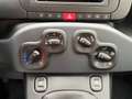 Fiat Panda 1.0 Hybrid 70CV Pop / IN PRONTA CONSEGNA Giallo - thumbnail 12