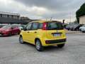 Fiat Panda 1.0 Hybrid 70CV Pop / IN PRONTA CONSEGNA Giallo - thumbnail 3