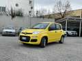 Fiat Panda 1.0 Hybrid 70CV Pop / IN PRONTA CONSEGNA Giallo - thumbnail 2