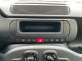 Fiat Panda 1.0 Hybrid 70CV Pop / IN PRONTA CONSEGNA Giallo - thumbnail 11