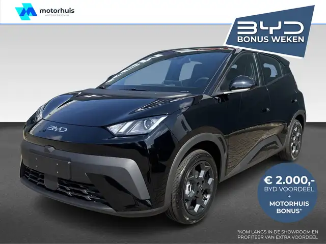BYD Dolphin Surf
