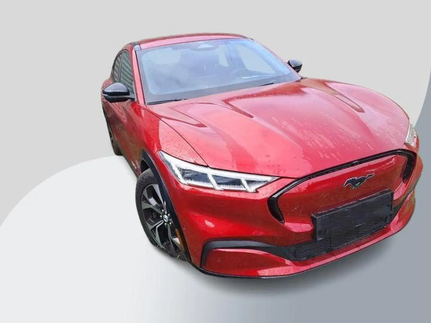 Ford Mustang Mach-E Extended Premium RWD 98 kWh 294pk | Technology Pac Rouge - 2