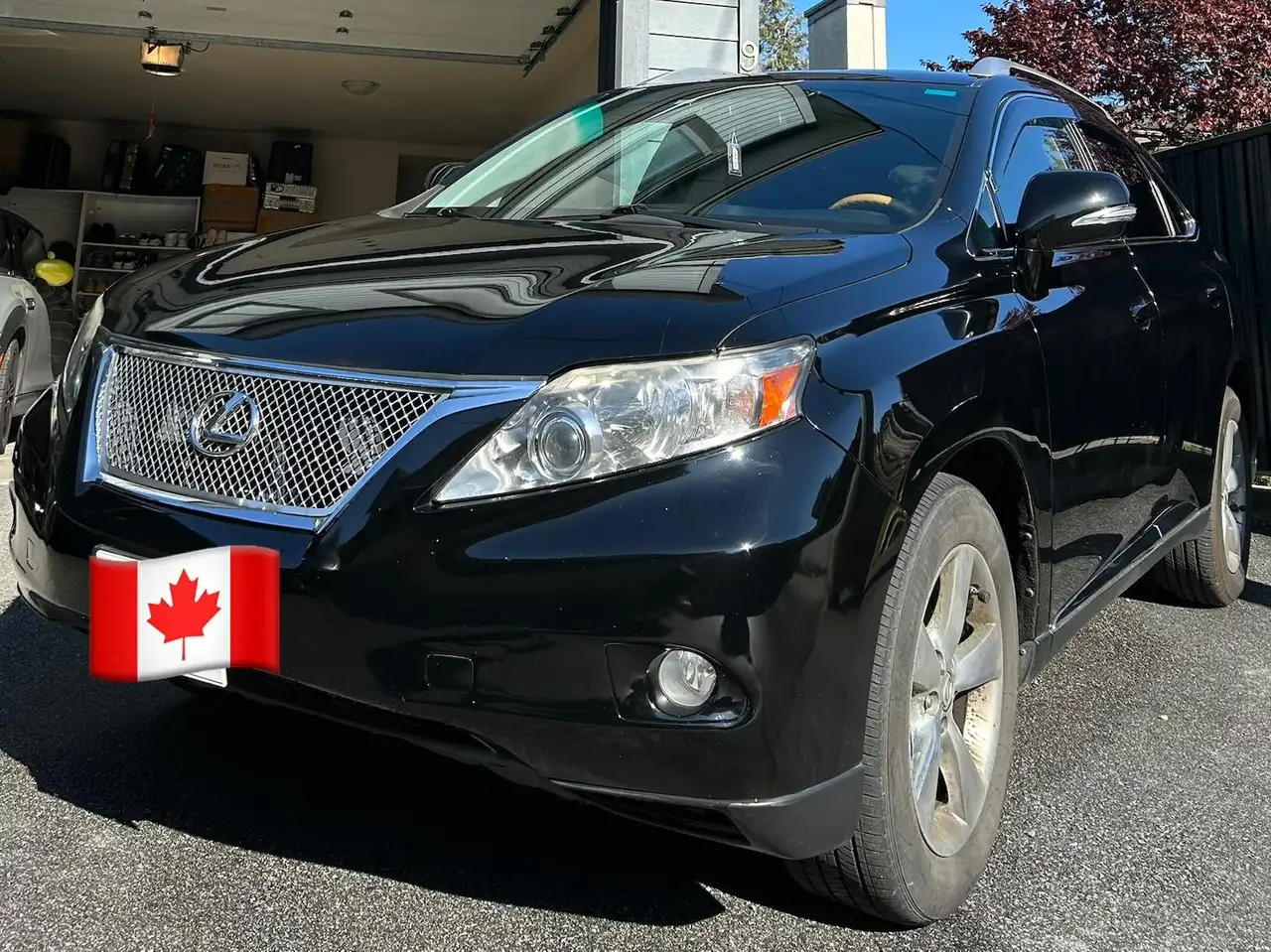 2010 Lexus RX