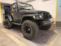 Jeep Wrangler TJ Schwarz - thumbnail 2