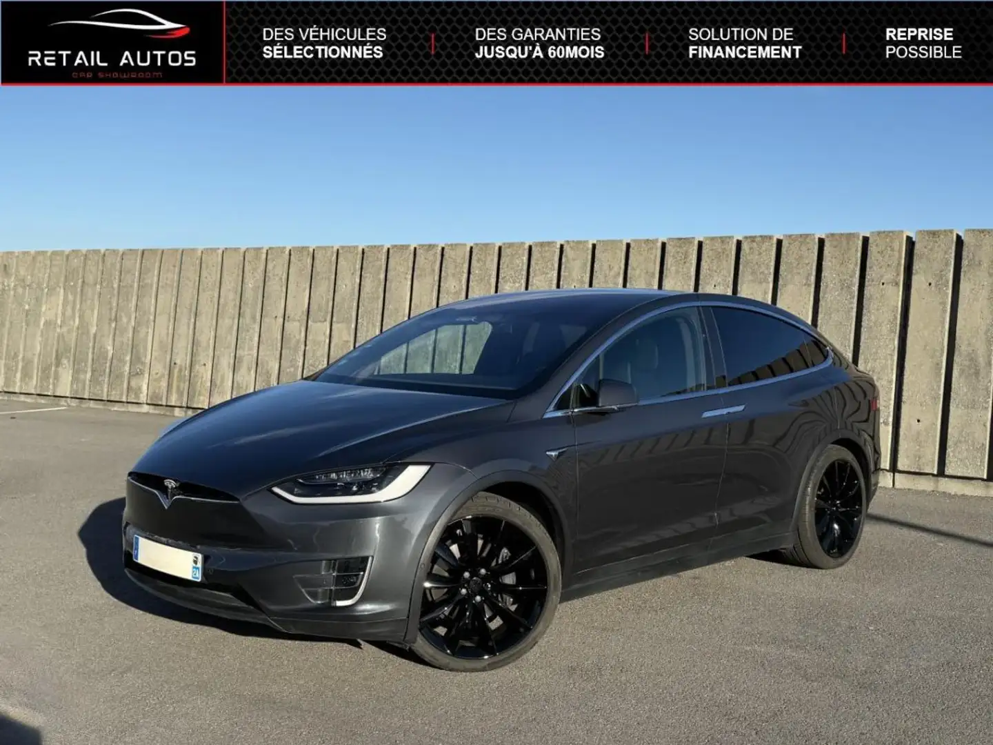 Tesla Model X 100D Dual Motor Long Range AWD 7 Places Серый - 1