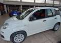 Fiat Panda 1.2 POP Wit - thumbnail 3