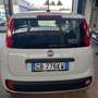 Fiat Panda 1.2 POP Wit - thumbnail 4