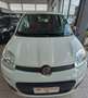 Fiat Panda 1.2 POP Wit - thumbnail 1