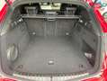 Alfa Romeo Stelvio 2.2 Diesel 210ch Veloce Q4 AT8 MY20 - thumbnail 14