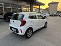 Kia Picanto 1.0 Style 5p - Ok Neopatentati Bianco - thumbnail 7