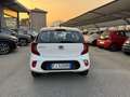 Kia Picanto 1.0 Style 5p - Ok Neopatentati Bianco - thumbnail 6