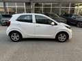 Kia Picanto 1.0 Style 5p - Ok Neopatentati Bianco - thumbnail 8