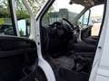 Fiat Ducato L2H2 *Kamera*Tempomat*Freisprech*DAB Weiß - thumbnail 10