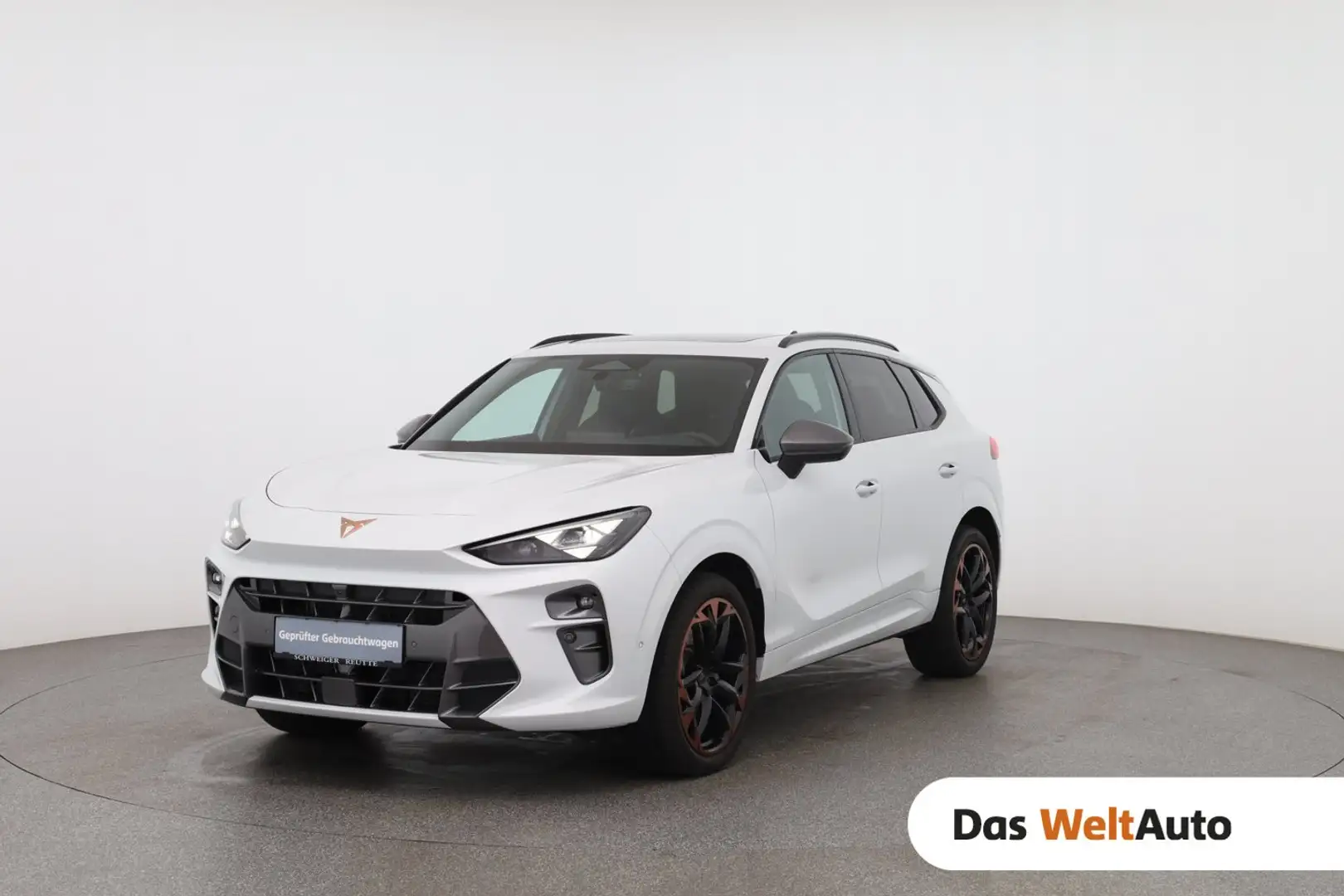 CUPRA Terramar 2.0 TSI 204 PS DSG 4Drive Bianco - 1
