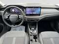 Skoda Octavia Combi 1.5 TSI mHEV DSG Pdach/AHK/Matrix Grau - thumbnail 12