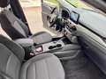 Ford Kuga 1.5 ecoblue Titanium Business 2wd 120cv auto Grigio - thumbnail 13