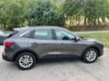 Ford Kuga 1.5 ecoblue Titanium Business 2wd 120cv auto Grigio - thumbnail 8