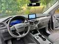 Ford Kuga 1.5 ecoblue Titanium Business 2wd 120cv auto Grigio - thumbnail 10