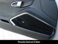 Porsche Boxster 718 GTS 4.0, PASM(-10mm), ACC, BOSE, NAVI Wit - thumbnail 22